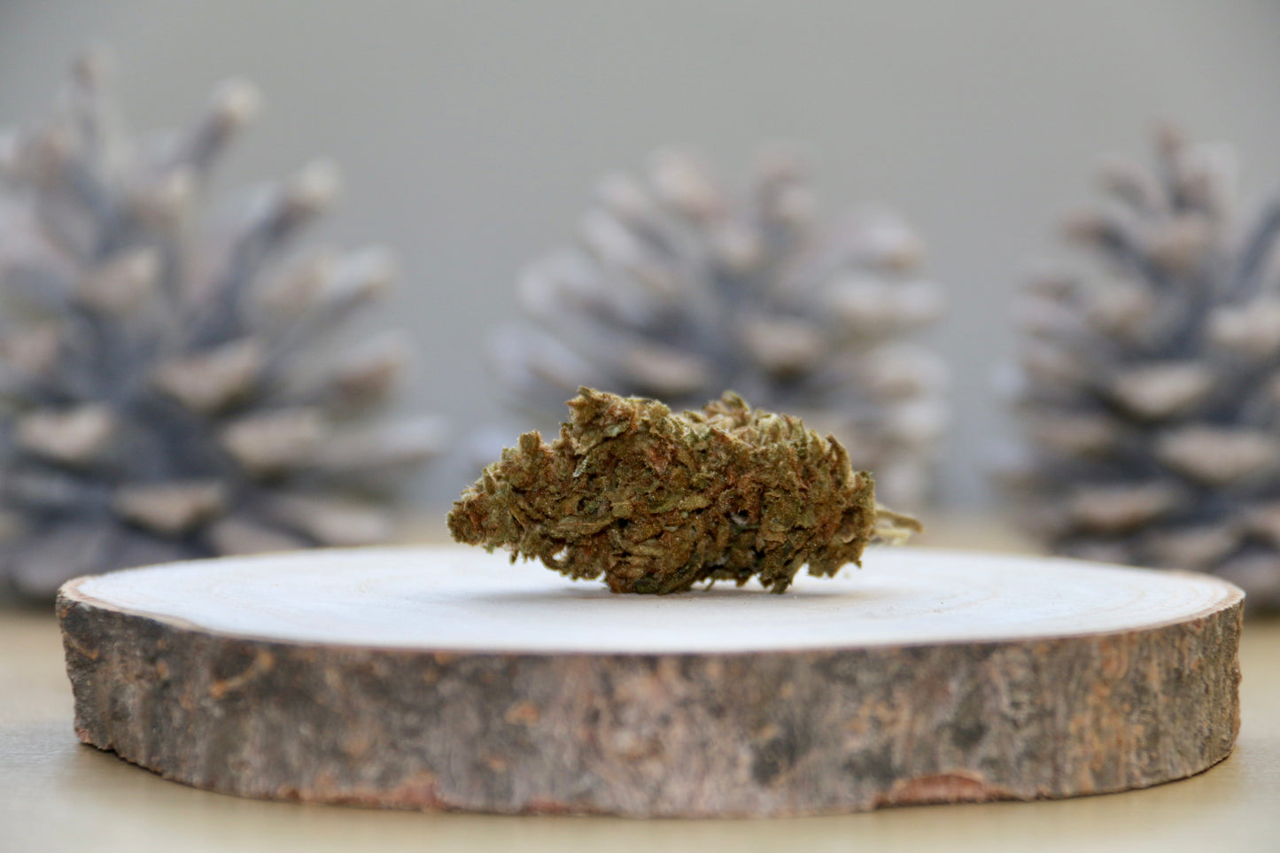 Northern Light CBD